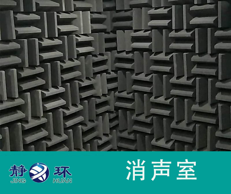 無(wú)響室的設(shè)計(jì)可以滿足家電冰箱的噪聲測(cè)試鑒定